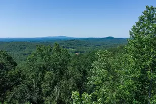 146 Glassy Falls Trail, Travelers Rest, SC 29690 - Photo 3
