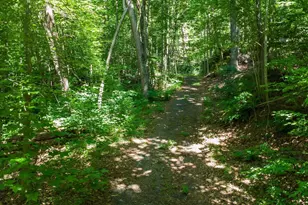 146 Glassy Falls Trail, Travelers Rest, SC 29690 - Photo 9