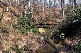 146 Glassy Falls Trail, Travelers Rest, SC 29690 - Photo 27