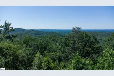 146 Glassy Falls Trail, Travelers Rest, SC 29690 - Photo 5