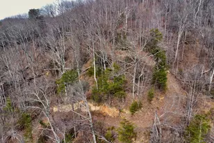 146 Glassy Falls Trail, Travelers Rest, SC 29690 - Photo 37