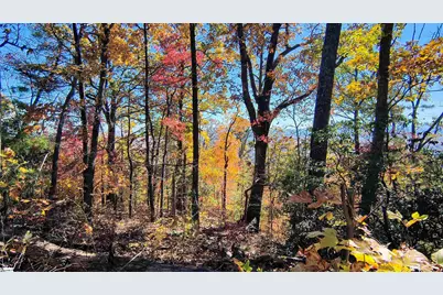 146 Glassy Falls Trail, Travelers Rest, SC 29690 - Photo 45