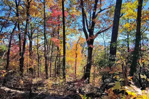 146 Glassy Falls Trail, Travelers Rest, SC 29690 - Photo 45