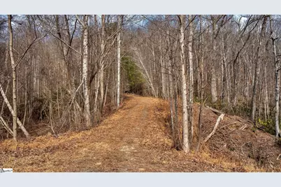 146 Glassy Falls Trail, Travelers Rest, SC 29690 - Photo 21