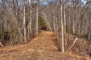 146 Glassy Falls Trail, Travelers Rest, SC 29690 - Photo 21