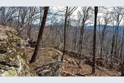 146 Glassy Falls Trail, Travelers Rest, SC 29690 - Photo 31