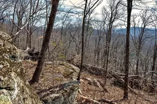 146 Glassy Falls Trail, Travelers Rest, SC 29690 - Photo 31