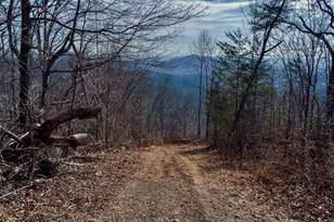 146 Glassy Falls Trail, Travelers Rest, SC 29690 - Photo 21