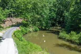 146 Glassy Falls Trail, Travelers Rest, SC 29690 - Photo 29