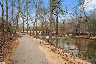 126 Briar Park Dr, Greer, SC 29651 - Photo 43