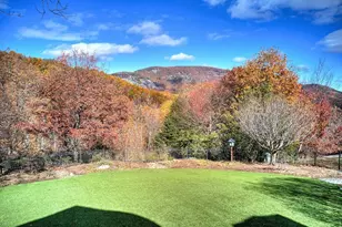 21 Eagle Rock Rd, Landrum, SC 29356 - Photo 41