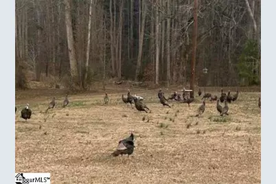 303 Horse Creek Road, Chesnee, SC 29323 - Photo 41