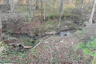 303 Horse Creek Rd, Chesnee, SC 29323 - Photo 3