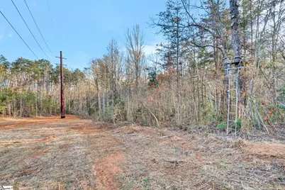 00 Cribbs Way, Easley, SC 29640 - Photo 3