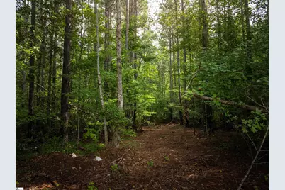 00 Pinedale Road, Liberty, SC 29657 - Photo 11