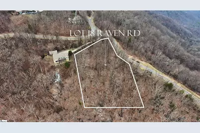 Lot 18 Raven Road, Landrum, SC 29356 - Photo 1