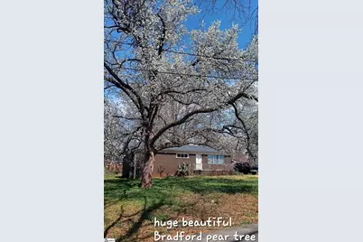 11 El Paso Drive, Greenville, SC 29617 - Photo 41