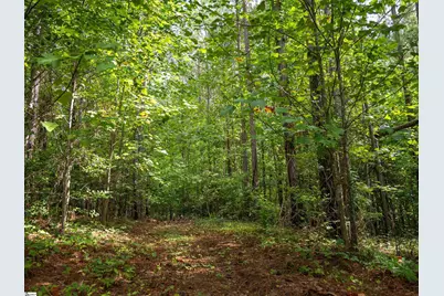 01 Pinedale Road, Liberty, SC 29657 - Photo 7