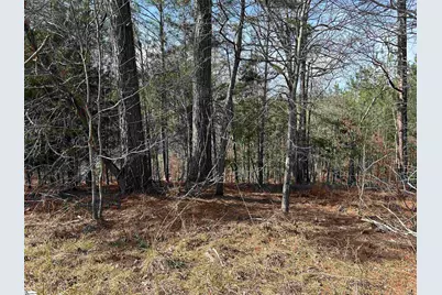 0000 Old Goldmine Road, Troy, SC 29848 - Photo 11