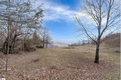 99 The Cliffs Parkway, Landrum, SC 29356 - Photo 7