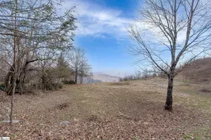 99 The Cliffs Pkwy, Landrum, SC 29356 - Photo 7