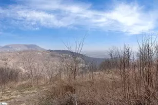 99 The Cliffs Pkwy, Landrum, SC 29356 - Photo 5