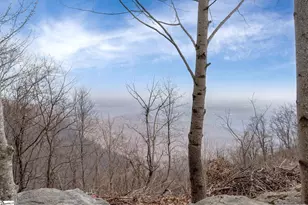 97 The Cliffs Pkwy, Landrum, SC 29356 - Photo 3