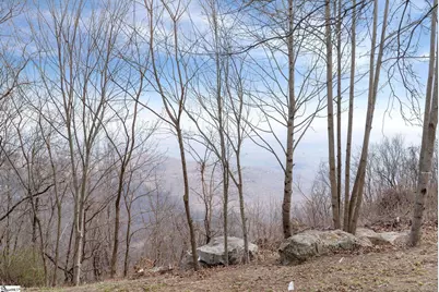 97 The Cliffs Parkway, Landrum, SC 29356 - Photo 5