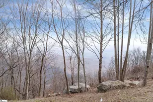 97 The Cliffs Pkwy, Landrum, SC 29356 - Photo 5