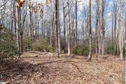 66 The Cliffs Parkway, Landrum, SC 29356 - Photo 5