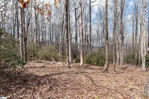 66 The Cliffs Pkwy, Landrum, SC 29356 - Photo 5