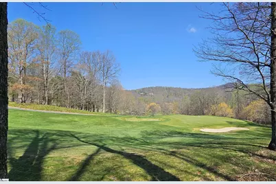 66 The Cliffs Parkway, Landrum, SC 29356 - Photo 3