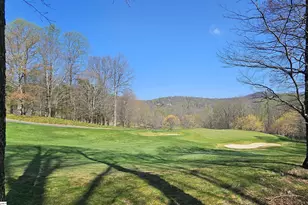 66 The Cliffs Pkwy, Landrum, SC 29356 - Photo 3