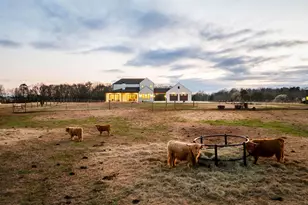 2811 Lebanon Rd, Pendleton, SC 29670 - Photo 5