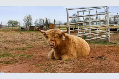 2811 Lebanon Road, Pendleton, SC 29670 - Photo 43