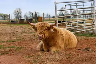 2811 Lebanon Rd, Pendleton, SC 29670 - Photo 43