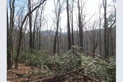 Belvoir Drive #Lots 31 and 32, Pickens, SC 29671 - Photo 19