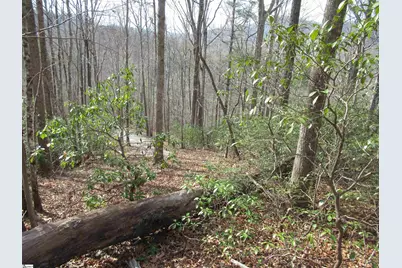 Belvoir Drive #Lots 31 and 32, Pickens, SC 29671 - Photo 23