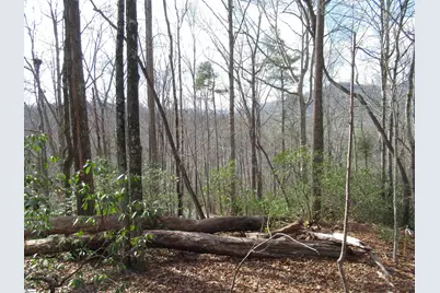 Belvoir Drive #Lots 31 and 32, Pickens, SC 29671 - Photo 3