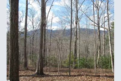 Belvoir Drive #Lots 31 and 32, Pickens, SC 29671 - Photo 5