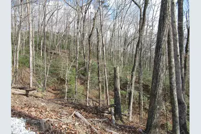 Belvoir Drive #Lots 31 and 32, Pickens, SC 29671 - Photo 11