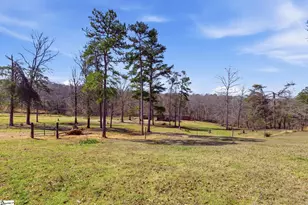 3206 252 Hwy, Laurens, SC 29360 - Photo 37