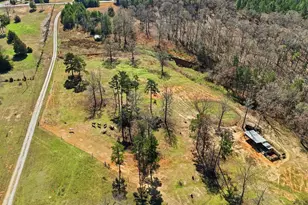 3206 252 Hwy, Laurens, SC 29360 - Photo 3