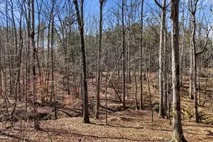 3206 252 Hwy, Laurens, SC 29360 - Photo 45