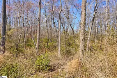 727 Wayfinder Run, Inman, SC 29349 - Photo 29