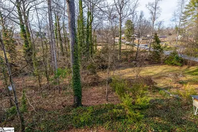 49 Arbutus Trail, Greenville, SC 29607 - Photo 45