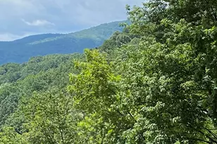 1671 Hogback Mountain Rd, Tryon, NC 28782 - Photo 7