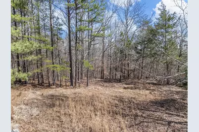 150 Morris Road, Pauline, SC 29374 - Photo 15