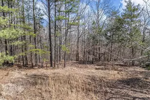 150 Morris Rd, Pauline, SC 29374 - Photo 15