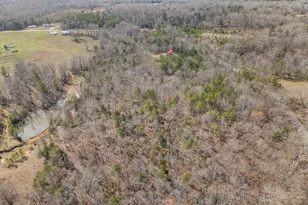 150 Morris Rd, Pauline, SC 29374 - Photo 43